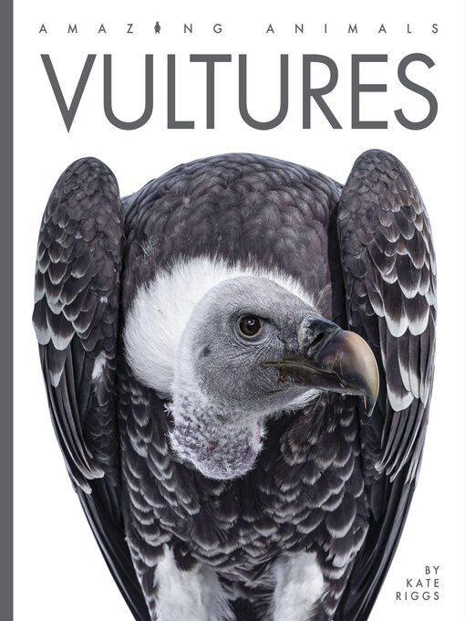 Title details for Vultures by Kate Riggs - Available